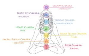 Sketch female seated in easy pose, chakras listed with colors