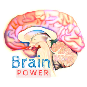 BRAIN POWER image of brain
